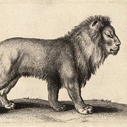 -ԭ(chung)Ʊڮ(hu) CG-NDC5028