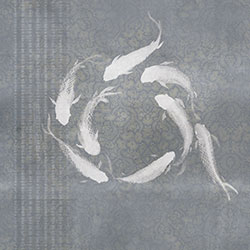 F\-ԭƱڮ CG-NDC5036