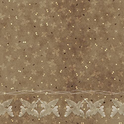 Ř-ԭƱڮ CG-NDC5134