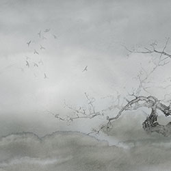 ÷-ԭ(chung)Ʊڮ(hu) CG-NDC5199