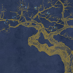 ÷-ԭ(chung)Ʊڮ(hu) CG-NDC5200