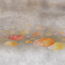 -ԭ(chung)Ʊڮ(hu) CG-NDC5226