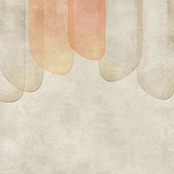 ʯ-ԭ(chung)Ʊڮ(hu) CG-NDC5014