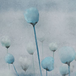 -ԭ(chung)Ʊڮ CG-NDC5175