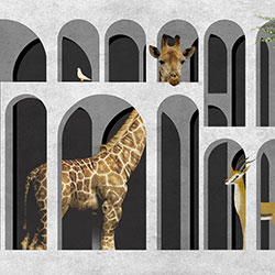 L(fng)-ԭ(chung)Ʊڮ CG-NDC5187