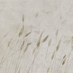 uҷ-ԭ(chung)Ʊڮ(hu) CG-NDC5210