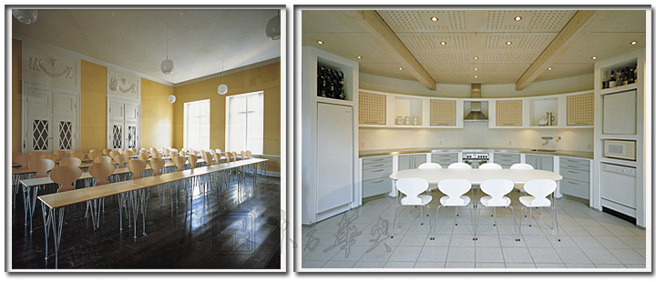 現(xiàn)代經(jīng)典休閑椅|木制休閑椅|辦公家具|螞蟻椅|休閑椅,塑料休閑椅,餐椅,洽談椅